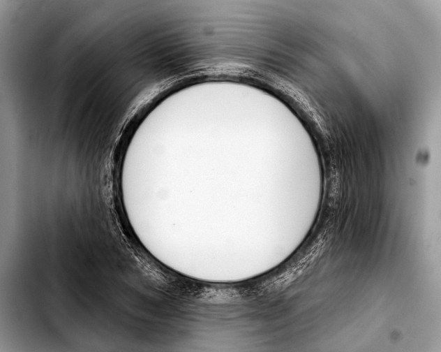 X0000103440978200810101101