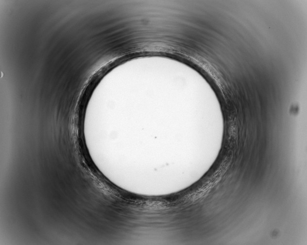 X0000103440979200810101101