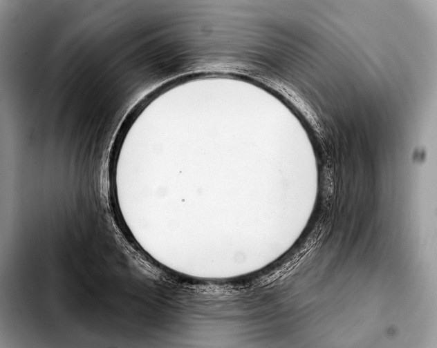X0000103440980200810101101