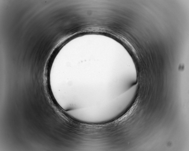 X0000103440981200810101101