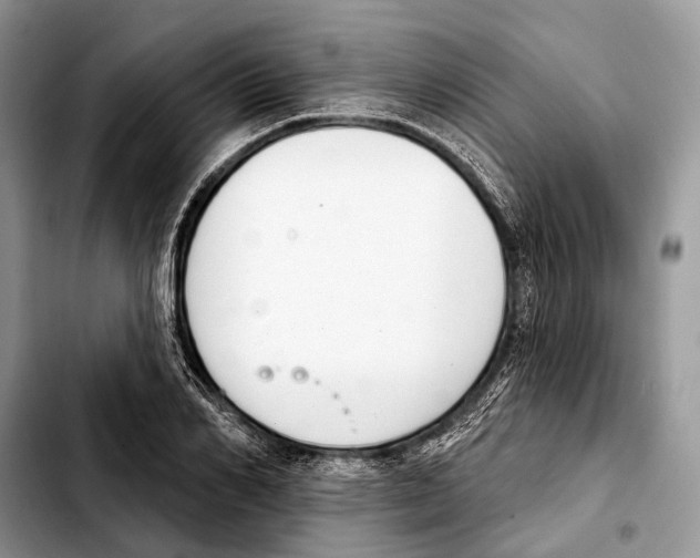 X0000103440982200810101101