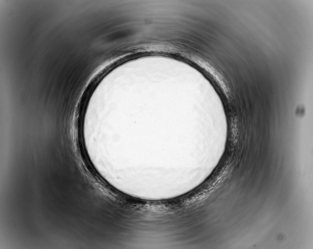 X0000103440983200810101101