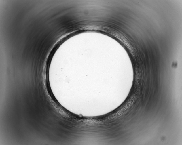 X0000103440984200810101101