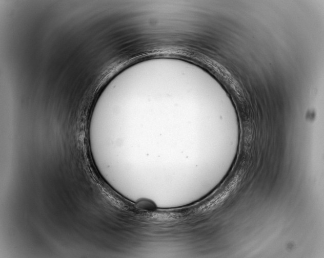 X0000103440985200810101101