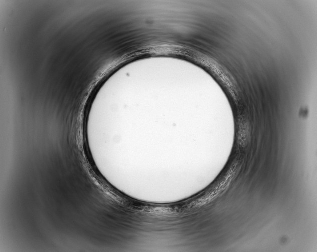 X0000103440986200810101101