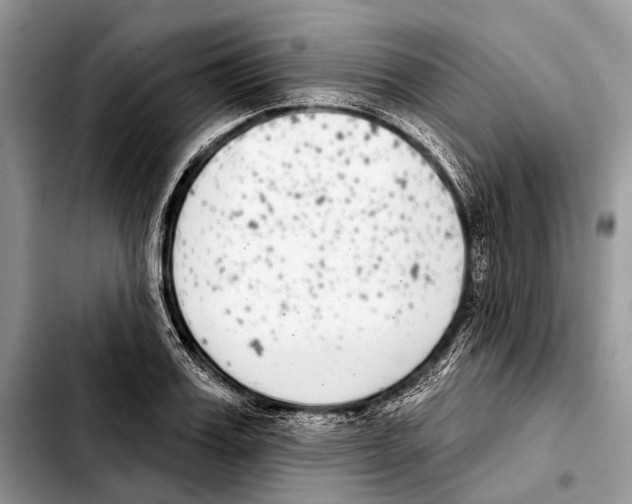 X0000103440987200810101101