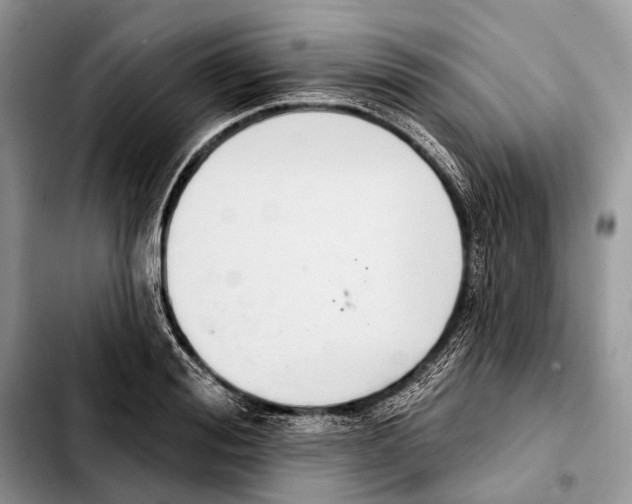 X0000103440988200810101101