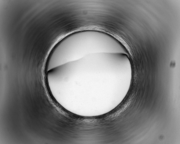 X0000103440989200810101101