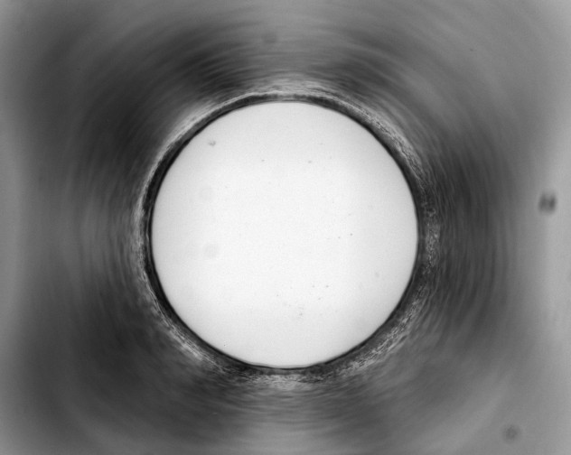 X0000103440990200810101101