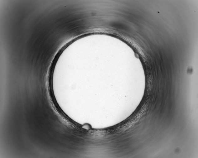 X0000103440991200810101101