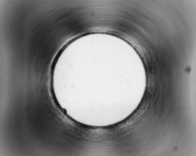 X0000103440992200810101101