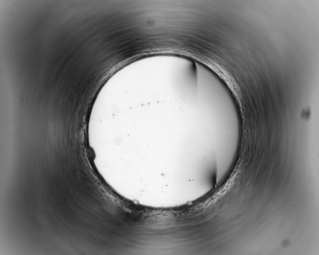 X0000103440993200810101101