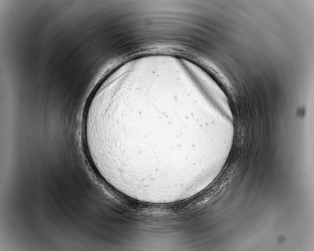 X0000103440994200810101101