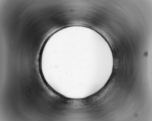 X0000103440995200810101101