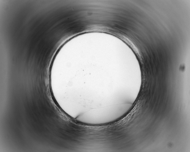 X0000103440996200810101101