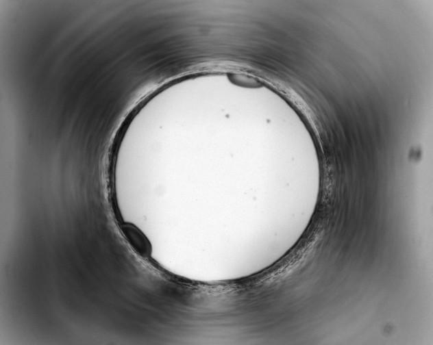 X0000103440997200810101101