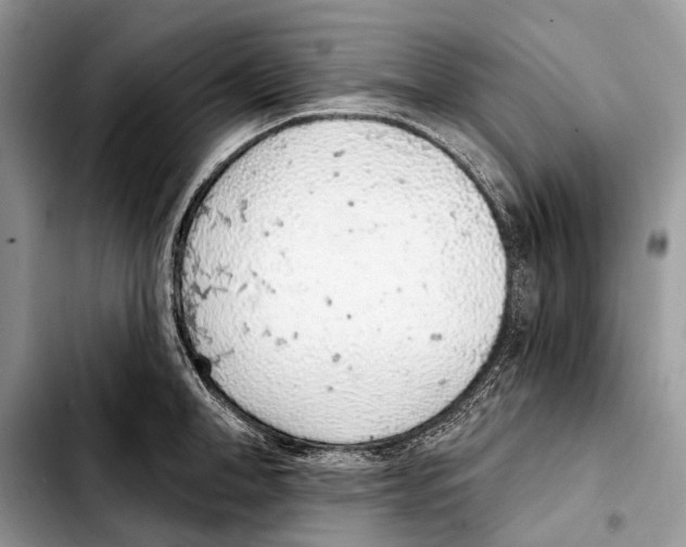 X0000103440998200810101101