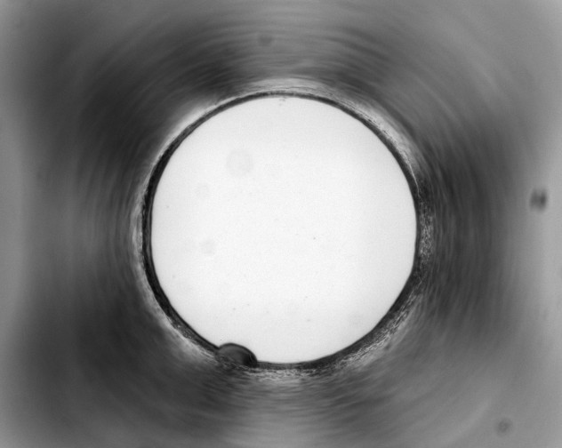 X0000103440999200810101101