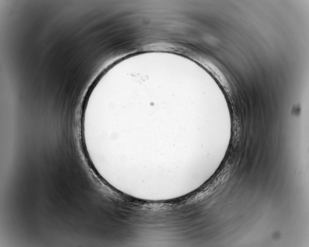 X0000103441000200810101101
