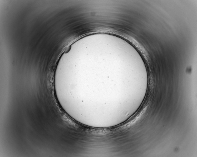 X0000103441001200810101101