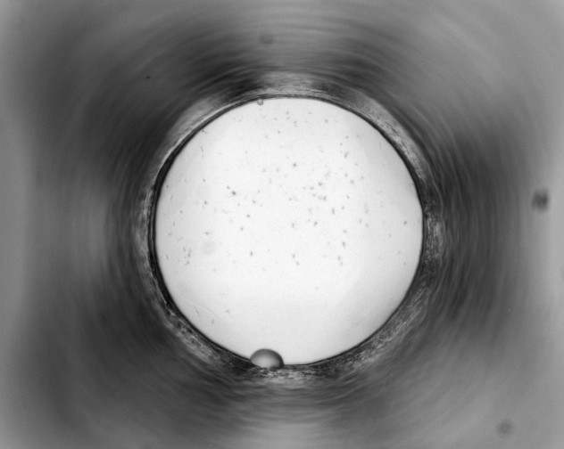X0000103441002200810101101