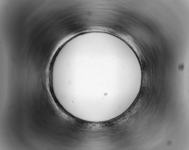 X0000103441003200810101101