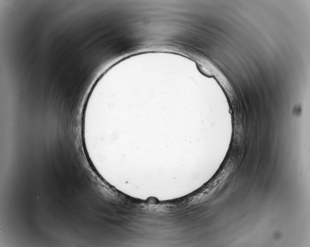 X0000103441004200810101101