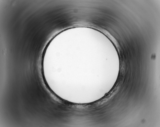 X0000103441005200810101101