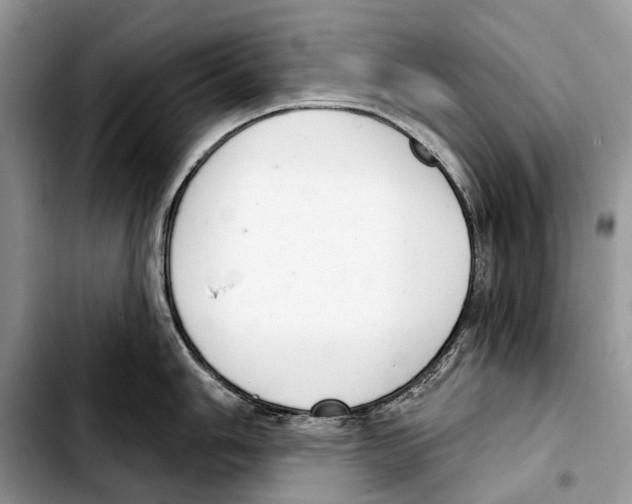 X0000103441006200810101101