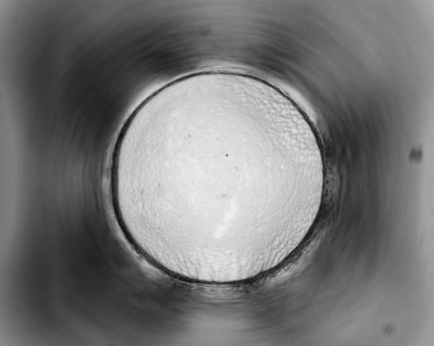 X0000103441007200810101101