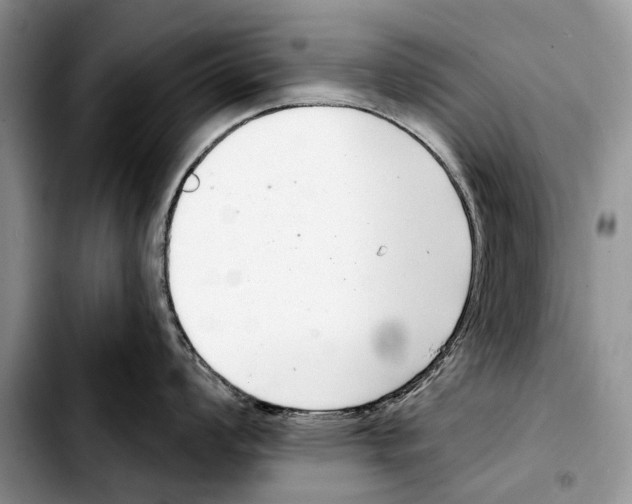 X0000103441008200810101101