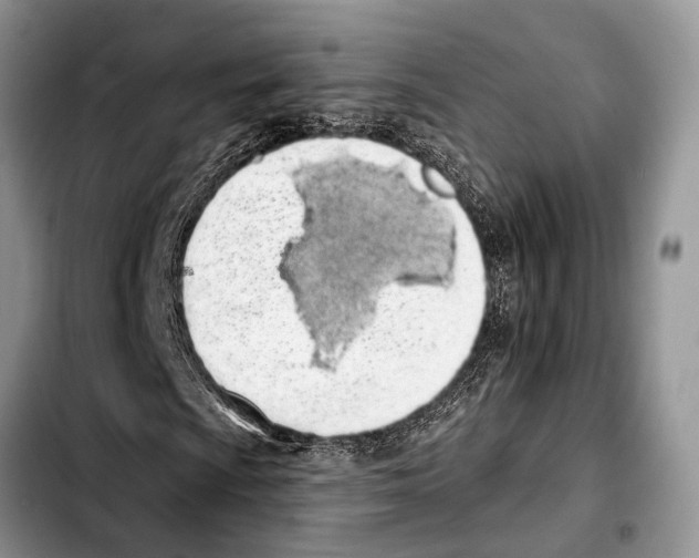 X0000103441009200810101100