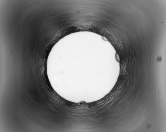 X0000103441012200810101100