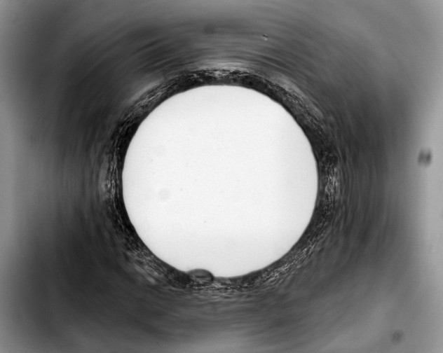 X0000103441014200810101100