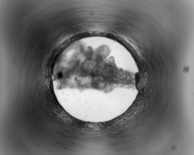 X0000103441015200810101100