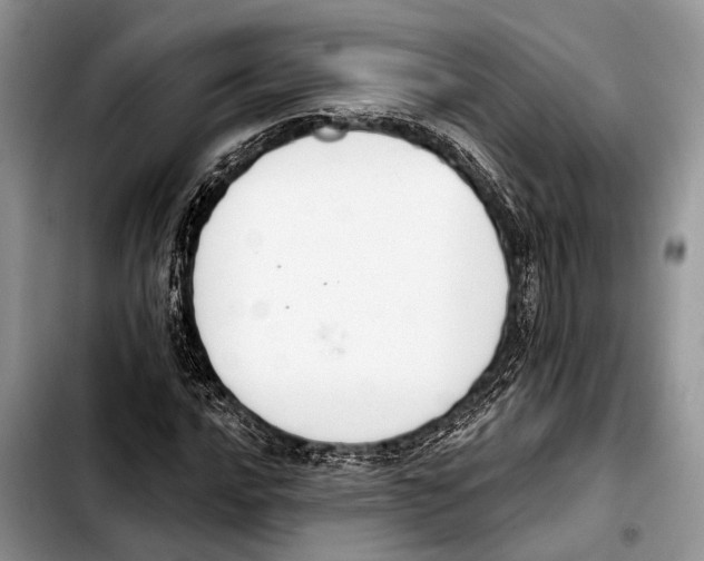X0000103441016200810101100