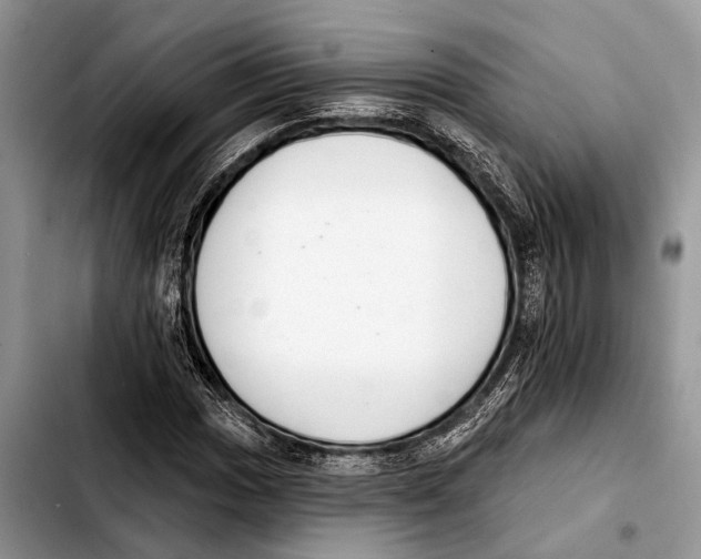 X0000103441017200810101100