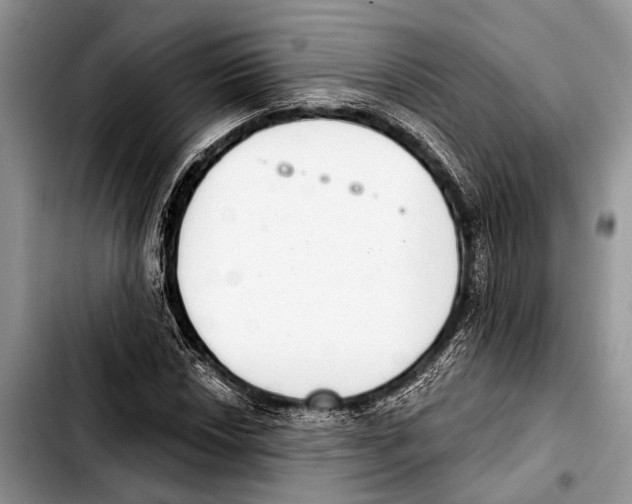 X0000103441018200810101100