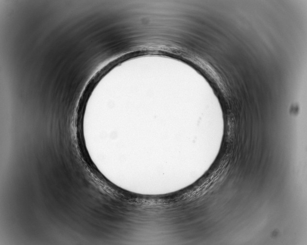 X0000103441020200810101100
