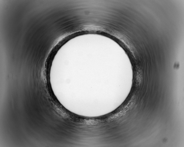 X0000103441022200810101100