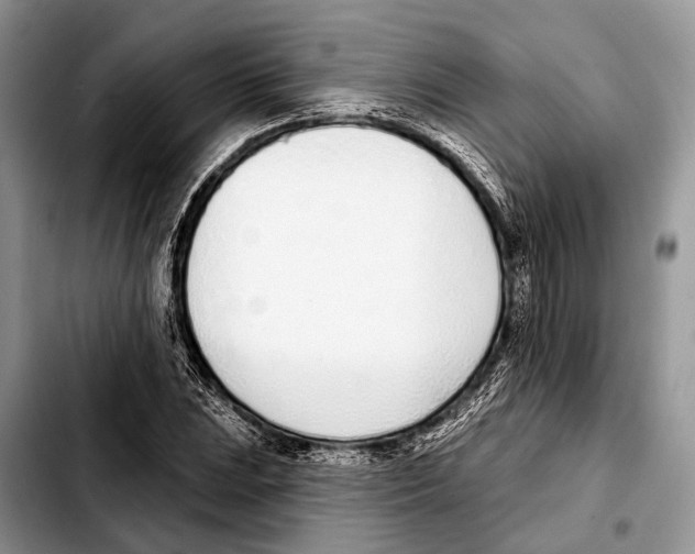 X0000103441023200810101100