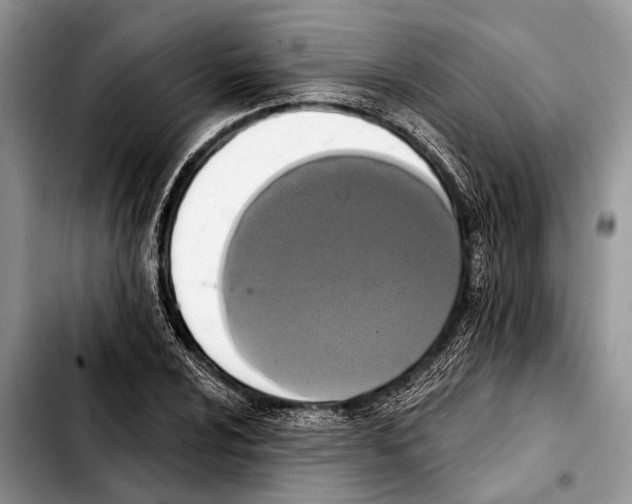 X0000103441024200810101100