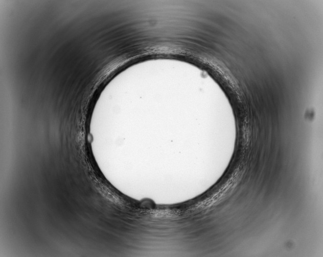 X0000103441025200810101100