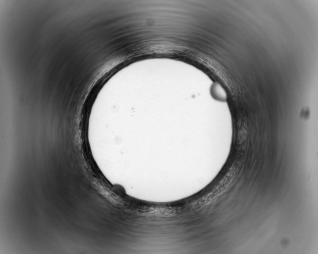 X0000103441026200810101100
