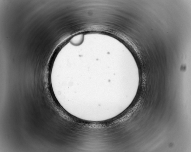 X0000103441029200810101101