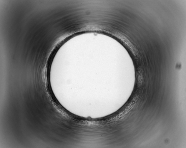 X0000103441030200810101101