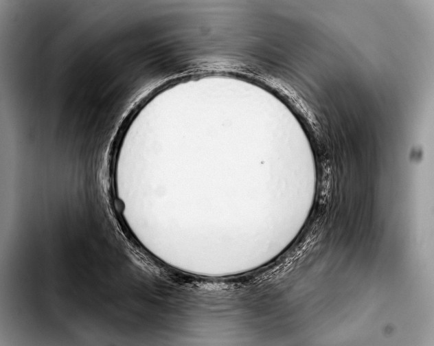 X0000103441031200810101101