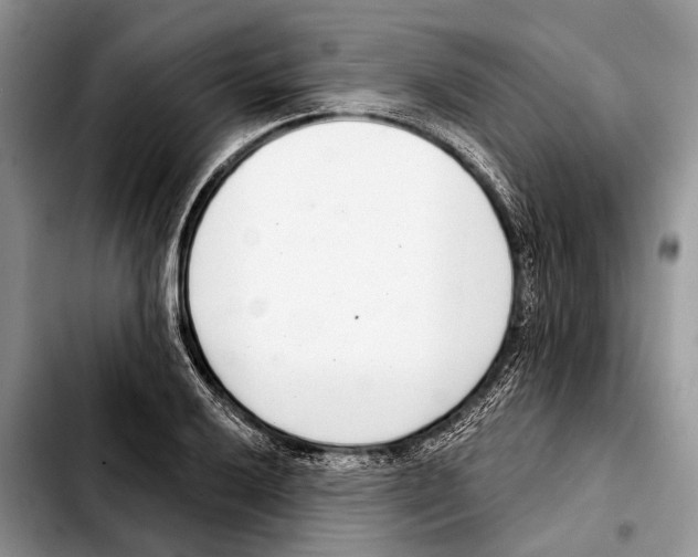 X0000103441032200810101101