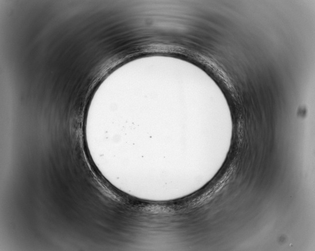 X0000103441033200810101101