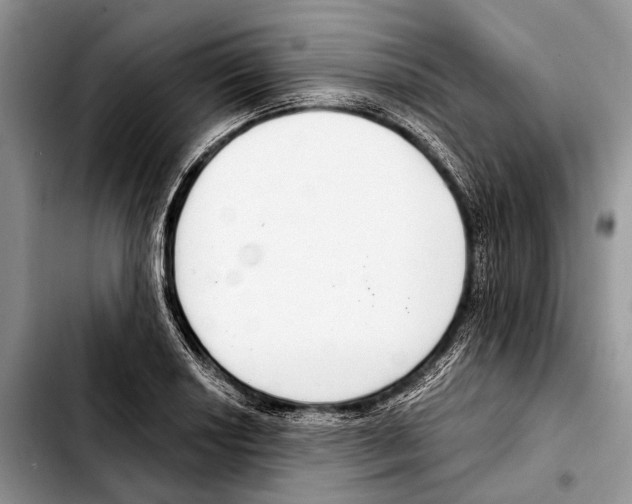 X0000103441034200810101101